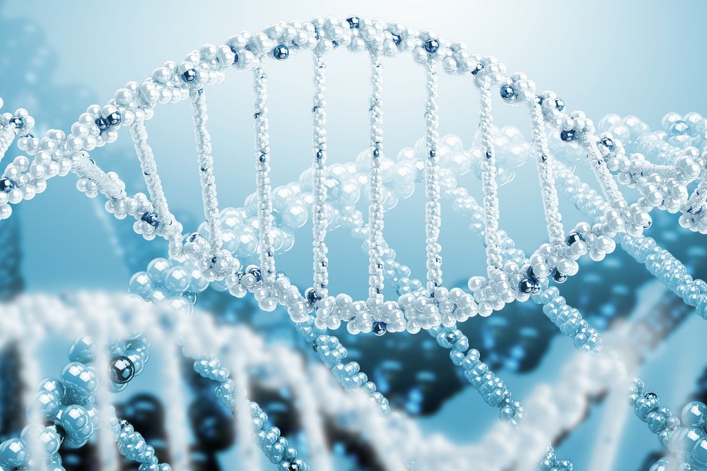 DNA in het kort: uitleg van gebruikte woorden. DA voor dummies dna