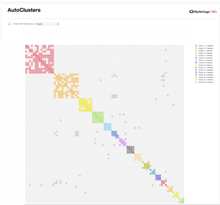 Myheritage auto cluster autoclusters blokjes grijze blokjes autocluster